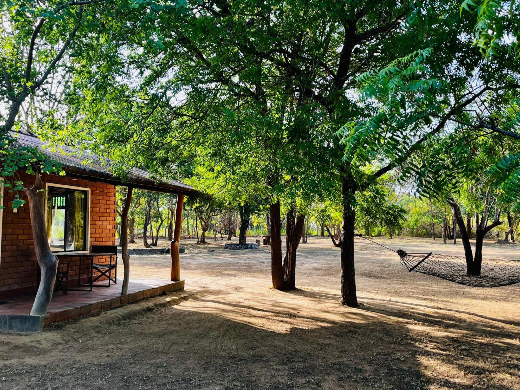 Funky Leopard Safari Lodge Bordering Yala National Park Катарагама Екстериор снимка
