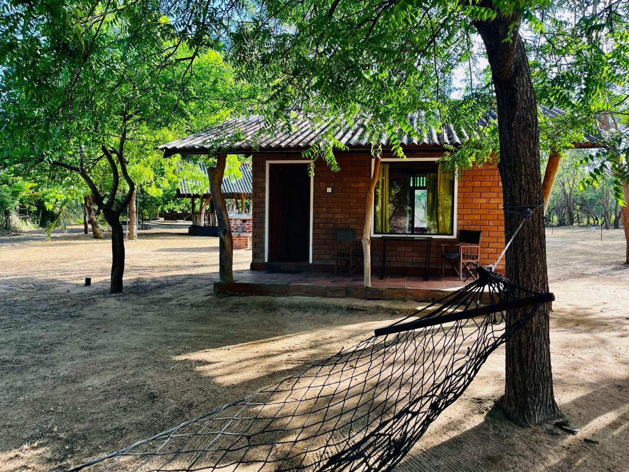Funky Leopard Safari Lodge Bordering Yala National Park Катарагама Екстериор снимка